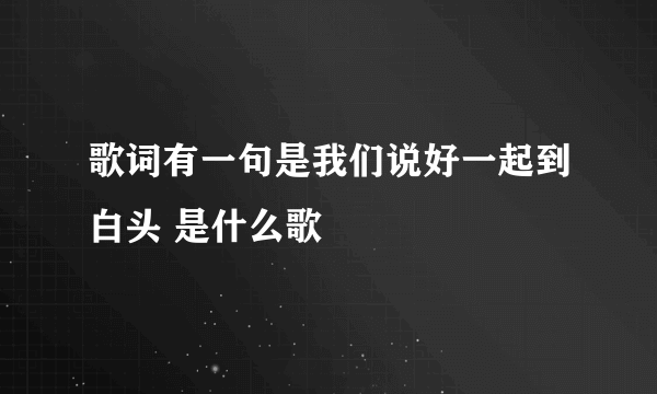 歌词有一句是我们说好一起到白头 是什么歌