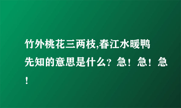 竹外桃花三两枝,春江水暖鸭先知的意思是什么？急！急！急！