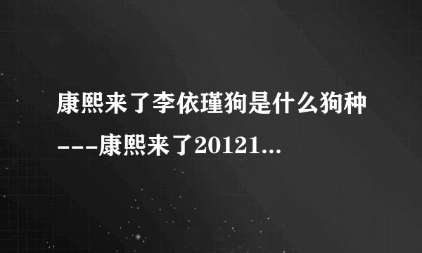 康熙来了李依瑾狗是什么狗种---康熙来了20121024_康熙宠物诊疗室