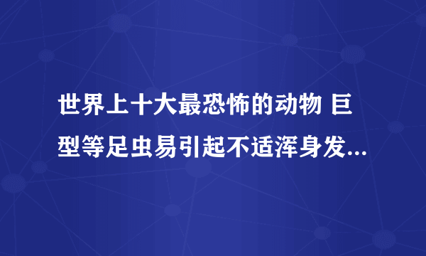 世界上十大最恐怖的动物 巨型等足虫易引起不适浑身发毛_飞外网