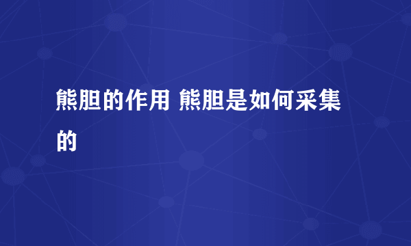 熊胆的作用 熊胆是如何采集的