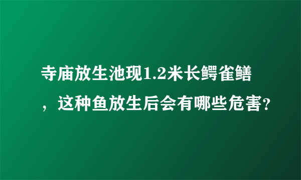 寺庙放生池现1.2米长鳄雀鳝，这种鱼放生后会有哪些危害？