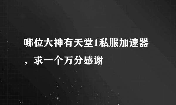 哪位大神有天堂1私服加速器，求一个万分感谢