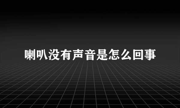 喇叭没有声音是怎么回事