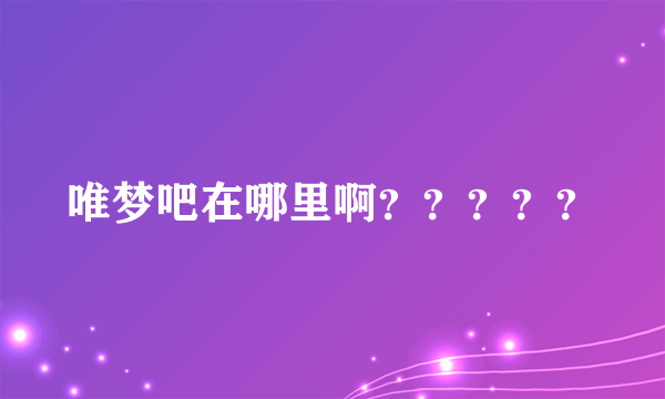 唯梦吧在哪里啊？？？？？