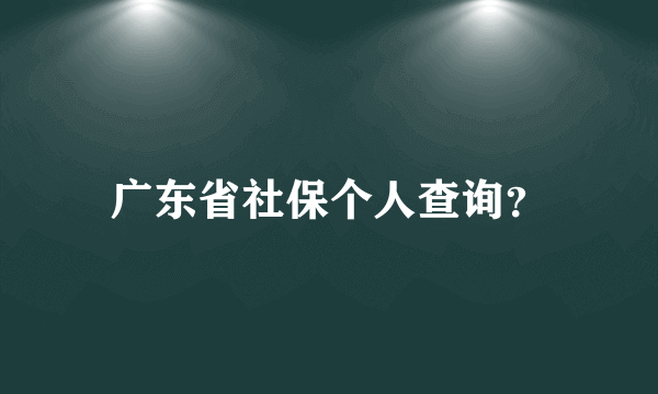 广东省社保个人查询？