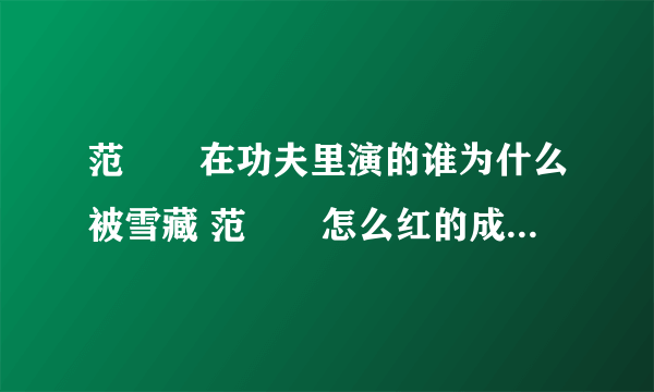 范湉湉在功夫里演的谁为什么被雪藏 范湉湉怎么红的成名史扒一扒