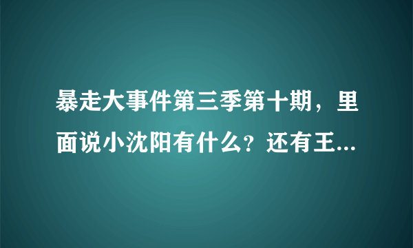 暴走大事件第三季第十期，里面说小沈阳有什么？还有王尼玛说“是他自己报的警”时下面的小字（实际上是金