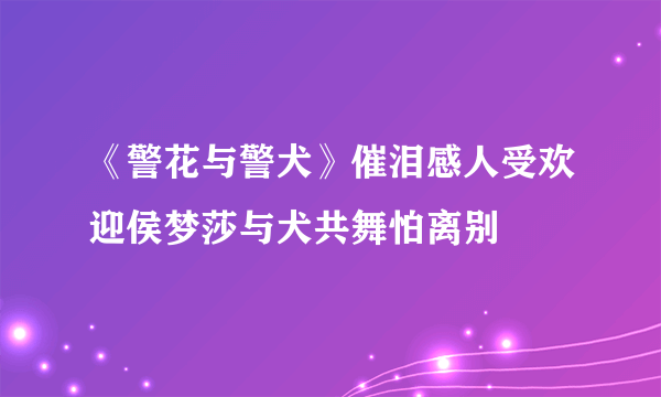 《警花与警犬》催泪感人受欢迎侯梦莎与犬共舞怕离别