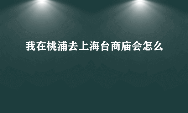 我在桃浦去上海台商庙会怎么