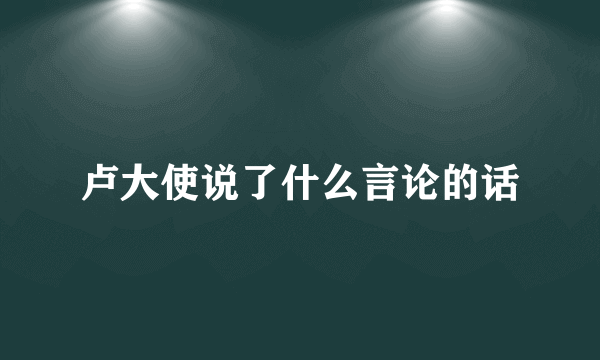 卢大使说了什么言论的话