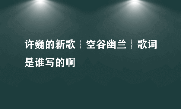 许巍的新歌｛空谷幽兰｝歌词是谁写的啊