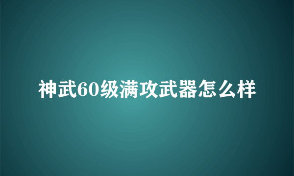 神武60级满攻武器怎么样