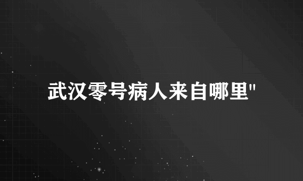 武汉零号病人来自哪里