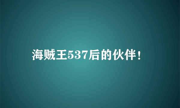 海贼王537后的伙伴！