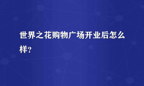 世界之花购物广场开业后怎么样？