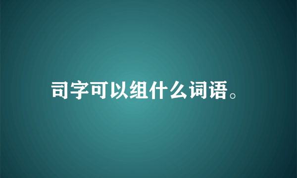 司字可以组什么词语。