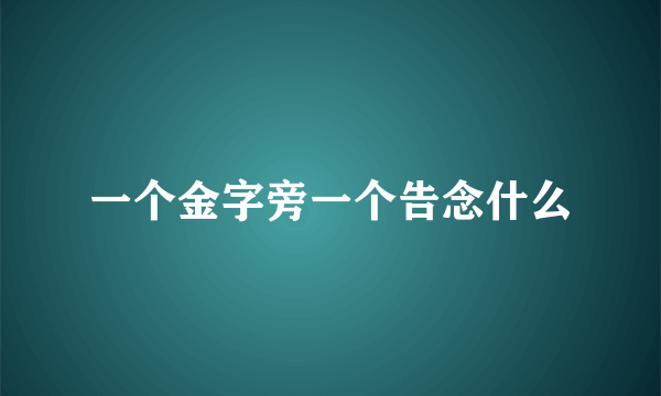 一个金字旁一个告念什么