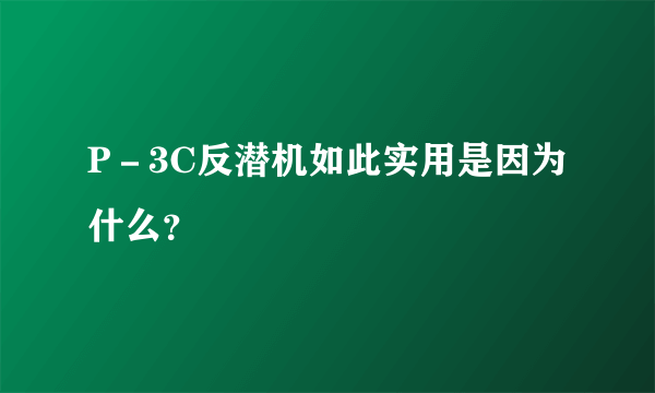 P－3C反潜机如此实用是因为什么？