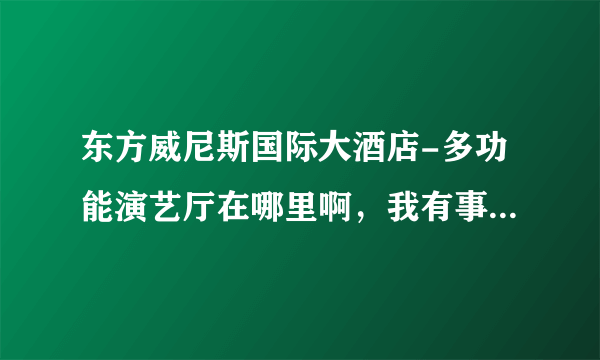 东方威尼斯国际大酒店-多功能演艺厅在哪里啊，我有事要去这个地方