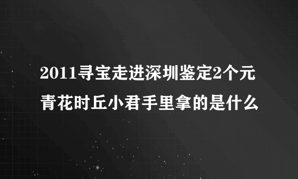 2011寻宝走进深圳鉴定2个元青花时丘小君手里拿的是什么