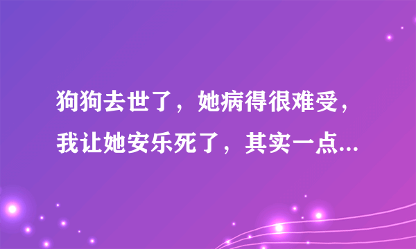 狗狗去世了，她病得很难受，我让她安乐死了，其实一点也不安乐，很痛苦，她会恨我的。