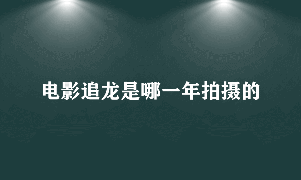 电影追龙是哪一年拍摄的