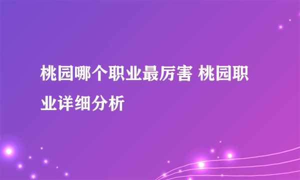 桃园哪个职业最厉害 桃园职业详细分析