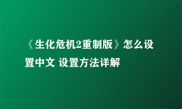 《生化危机2重制版》怎么设置中文 设置方法详解