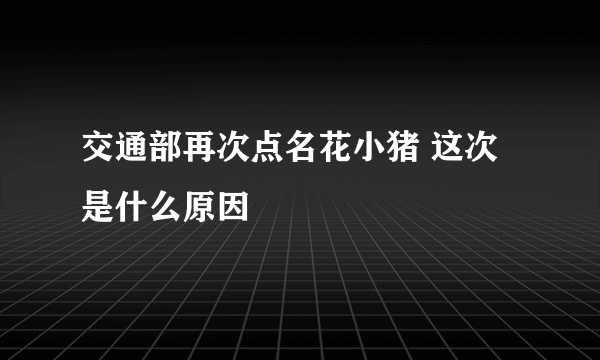 交通部再次点名花小猪 这次是什么原因