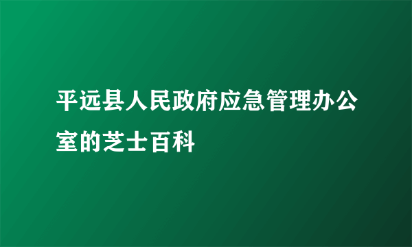 平远县人民政府应急管理办公室的芝士百科