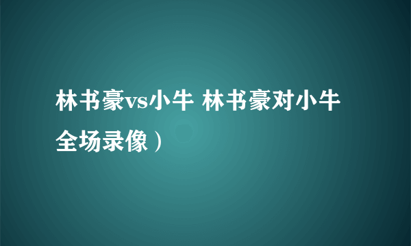 林书豪vs小牛 林书豪对小牛全场录像）