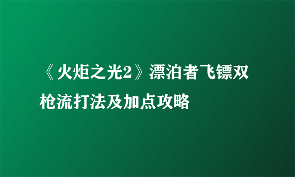 《火炬之光2》漂泊者飞镖双枪流打法及加点攻略