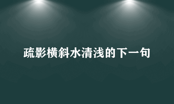 疏影横斜水清浅的下一句