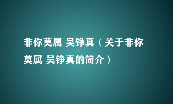 非你莫属 吴铮真（关于非你莫属 吴铮真的简介）