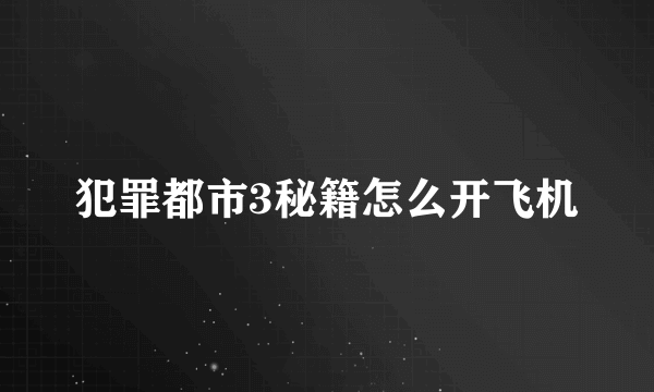 犯罪都市3秘籍怎么开飞机