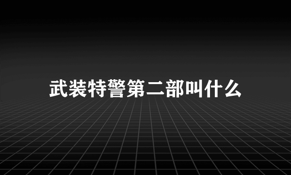 武装特警第二部叫什么