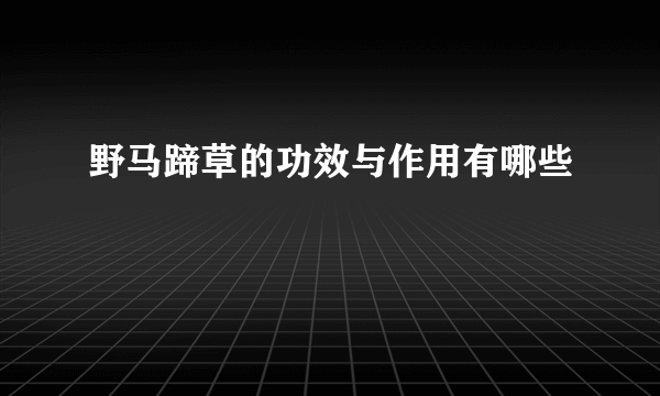 野马蹄草的功效与作用有哪些