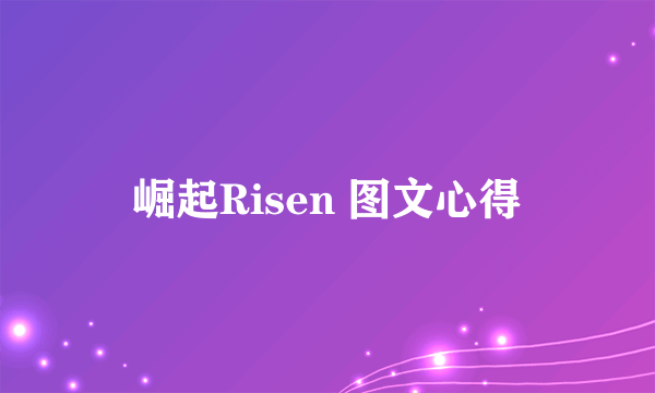 崛起Risen 图文心得