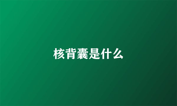 核背囊是什么