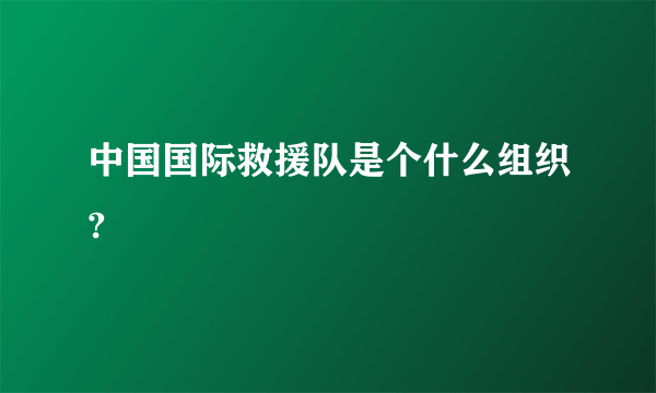 中国国际救援队是个什么组织?