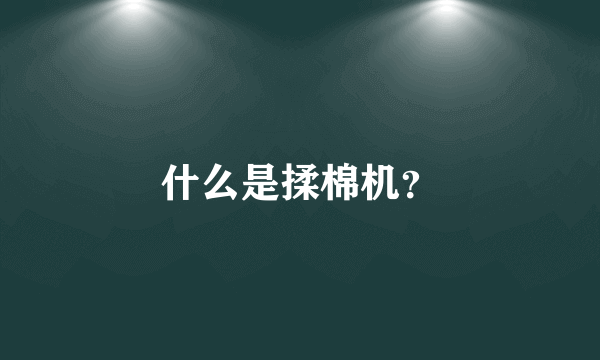 什么是揉棉机？