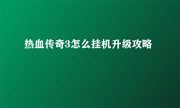 热血传奇3怎么挂机升级攻略