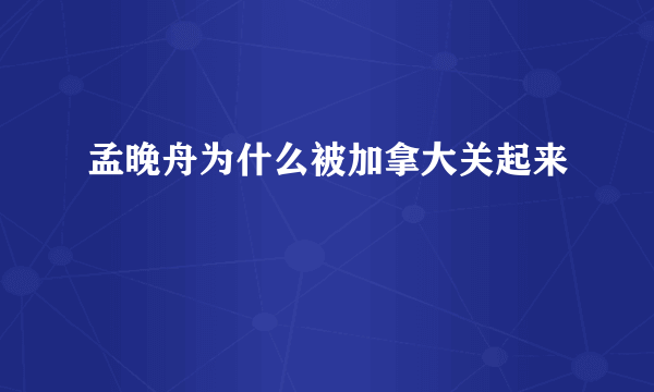 孟晚舟为什么被加拿大关起来