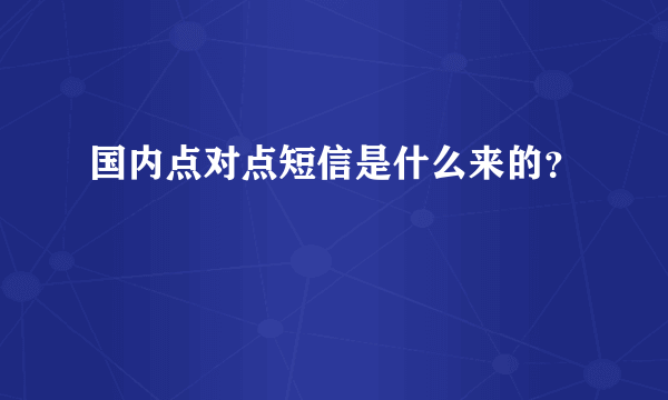 国内点对点短信是什么来的？