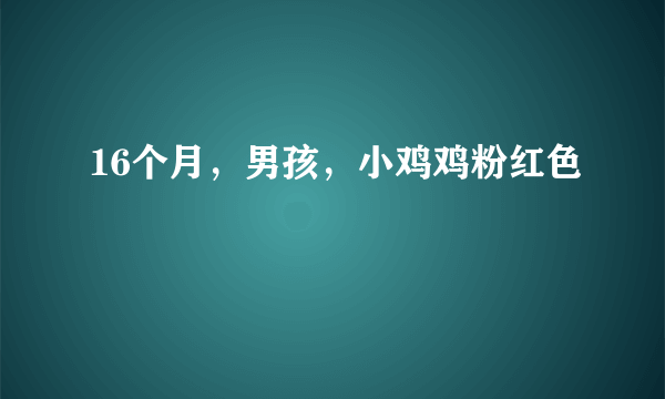 16个月，男孩，小鸡鸡粉红色