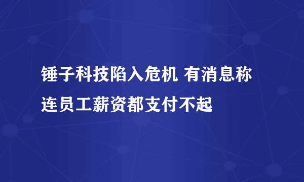 锤子科技陷入危机 有消息称连员工薪资都支付不起