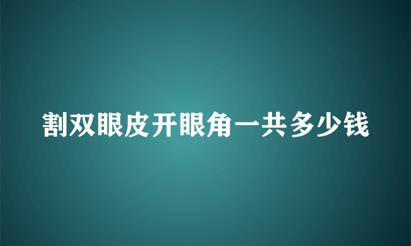 割双眼皮开眼角一共多少钱