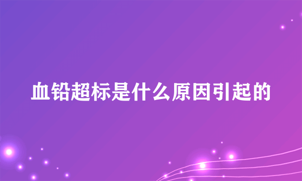 血铅超标是什么原因引起的