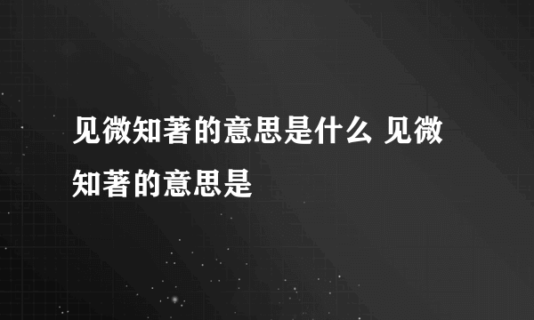 见微知著的意思是什么 见微知著的意思是